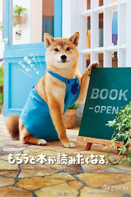 日本的全国通用图书卡有个柴犬的系列海报，...