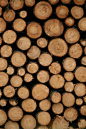 a pile of wood that has been cut in half
