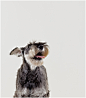Little Friends: Yuni on the Behance Network