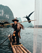 桂林“鸬鹚渔民”

华裔澳大利亚摄影师 Peter Yan ​​​​