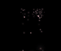 6.gif