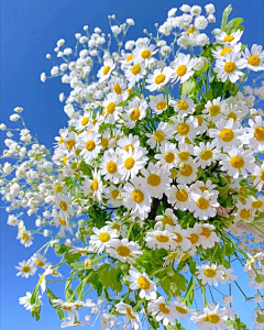 碾尘泥采集到花花世界