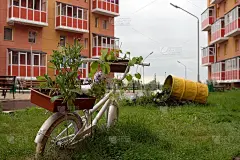 在一幢住宅楼的院子里，一个自行车形状的花架矗立在绿色的草坪上。