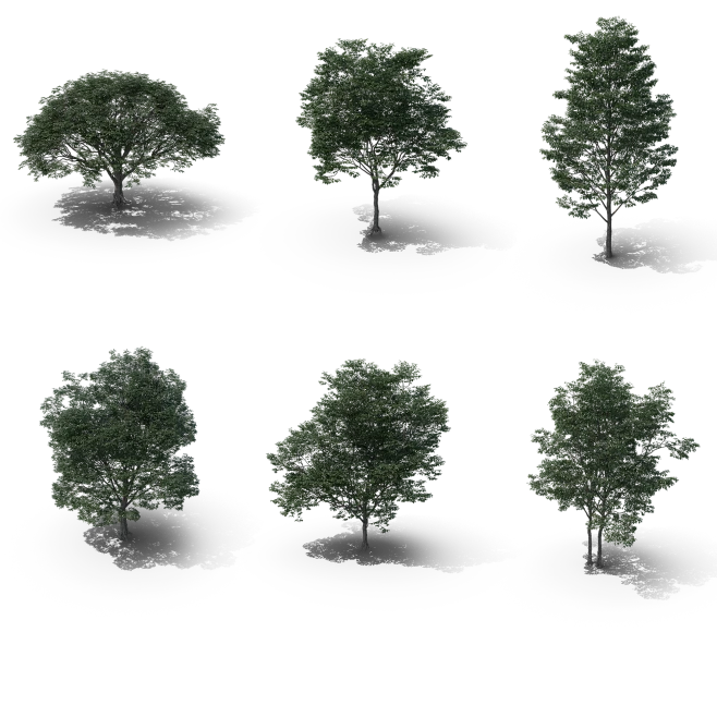 3d_tree_part_12-花瓣网