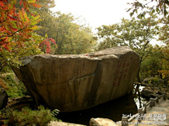 Yaobinnj采集到秋满盘山, f原上草f旅游