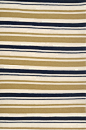Oscar-de-la-Renta-Campaign-Stripe.jpg