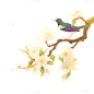 植物系列国风金色描边梨花花枝鸟插画