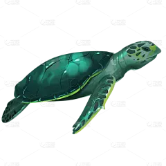 手绘-海洋生物元素-海龟