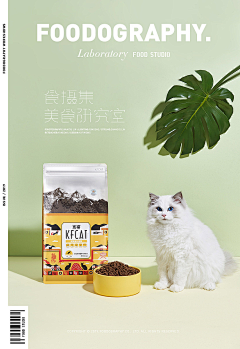 该用户已登录采集到摄影 ｜ 参考