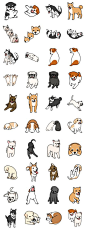 Shiba，法国斗牛犬，杰克罗素梗犬，凯恩梗，西伯利亚雪橇犬，拉布拉多猎犬，骑士国王查尔斯猎犬，哈巴狗，小狗和其他狗。