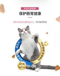 猫姐~采集到淘宝页面设计/