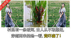 松lansong采集到古代三拼