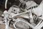 Skulls & Bones (304)