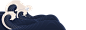 浪花