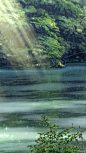 #场景# #言葉之庭# 风景。