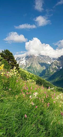 A桃Toci采集到风景