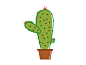 Cactus. That is all.