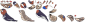 zdcj_yuanyang_npc.png