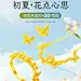 初夏海报-M