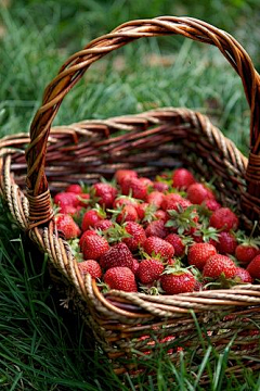阿布m采集到草莓草莓~~