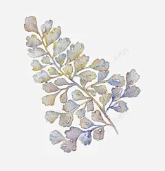 卡通手绘银杏叶高清素材 卡通 手绘 插画 树叶 简约 自然 装饰 银杏叶 免抠png 设计图片 免费下载