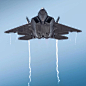 F - 22 猛禽