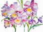 【水彩】花
