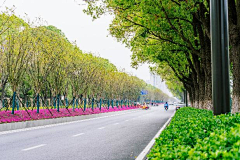 🌸沙沙沙🌸采集到Landscape|道路景观/交叉口