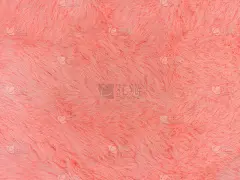粉色毛皮纹理俯视图。珊瑚绒毛织物外套背景。冬季时尚色彩趋向女性平卧女性博客