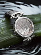 Bovet's 2013 Amadeo® Fleurier 39 Lotus features a mother-of-pearl dial encircled by a diamond-set bezel.   http://www.watchds.com/
