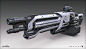 Destiny - House of Wolves - Machine Gun