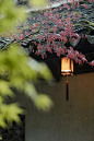 雨图片素材ID:VCG211278951907
