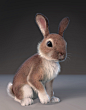 Rabbit - HAVAINAS Princesas, Gabriela Salmeron : Yeti Fur and Feathers
Created at Consulado 
http://new.consulado.tv/HAVAIANAS_PRINCESAS