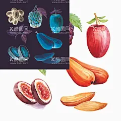水彩水果插画  - 源文件下载【酷图网】水彩,矢量,水果,插画,素材设计,红提,木瓜