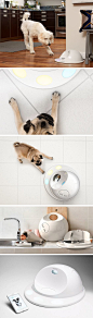 Developed by dog-loving neuroscientists, the CleverPet Hub is an interactive puzzle feeder for your pup! It works by rewarding pets in the form of kibble treats when light puzzles are completed. With almost endless variations in games, it keeps your pup’s
