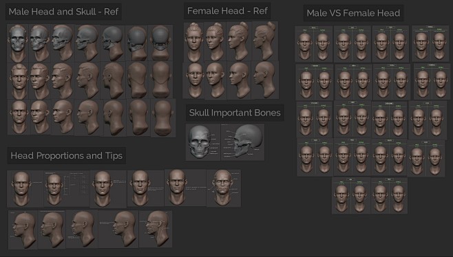 Master Sculpting Hea...