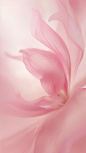 花瓣素材_背景通用粉色花朵花瓣特写背景图片素材_193465420