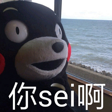 熊本熊表情包