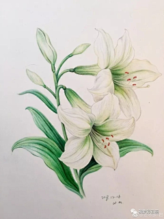 开心^冒^泡泡采集到彩铅画
