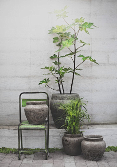 ME花草园艺采集到园艺/花园/阳光房