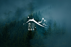 紫色梅子采集到包装设计及LOGO设计