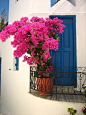 The Greek Islands