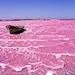 粉色湖泊