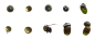 松果png