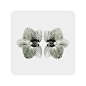 Porcelain Flowers on Behance