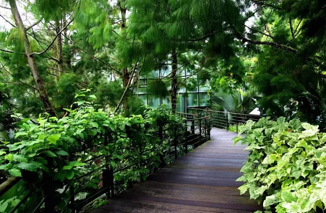这里有热带、亚热带常绿乔木、棕榈、竹类园艺花卉、水生植物、沼生植物、寄生植物和沙漠植物等植物，包括了许多濒临灭绝的品种。