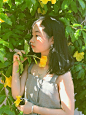 (392) Pinterest