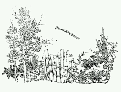 Puya2采集到绘画