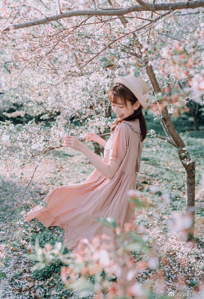 #写真[超话]# 樱花飘落人间摄影：@七...