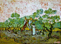 凡高油画全集(中)：300、采摘橄榄 凡高 荷兰 1889年12月 布面油画 72.4x89.9cm 纽约大都会艺术博物馆
     这是一幅将颜色的对比表现得淋漓尽致的作品。橄榄树一片鲜艳的绿色，波浪形的大地呈赭色，天空则是橄榄树形的橘色和灰色相间，形成了赏心悦目的画面。凡高的画唯一深爱的东西就是色彩，辉煌的、未经调和的色彩。他手中的色彩特征，与印象主义者们的色彩根本不同。正一艺术2017年9月26日原创赏析。他说：“为了更有力地表现自我，我在色彩的运用上更为随心所欲。”